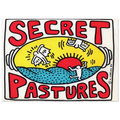 PROMOTIONAL POSTER FOR SECRET PASTURES 1984 Poster | Keith Haring Poster | Keith Haring Prints